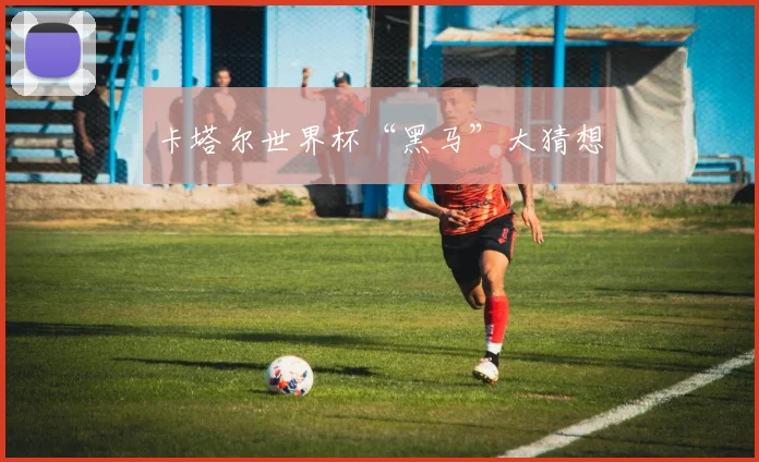 卡塔尔世界杯“黑马”大猜想