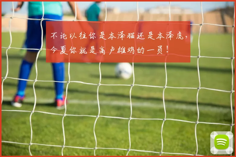 不论以往你是本泽猫还是本泽虎，今夏你就是高卢雄鸡的一员！